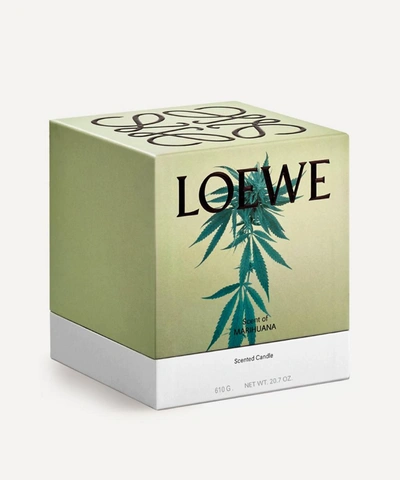 Shop Loewe Medium Scent Of Marihuana Candle 610g In Green