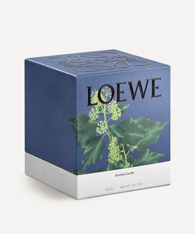Loewe Medium Ivy Candle 610g In Pink