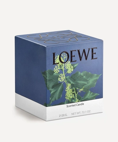 Loewe Large Ivy Candle 2120g In Pink