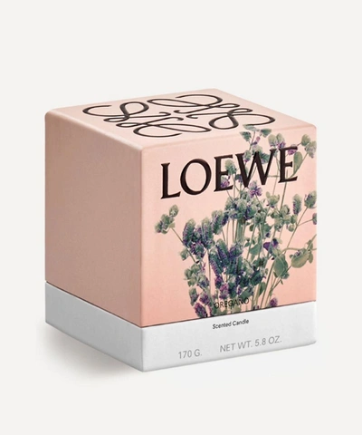 Shop Loewe Small Oregano Candle 170g In White