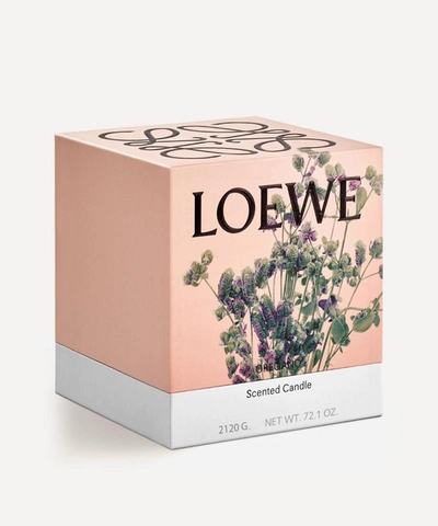 Loewe Large Oregano Candle 2120g In White