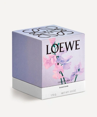 Shop Loewe Small Luscious Pea Candle 170g In Green