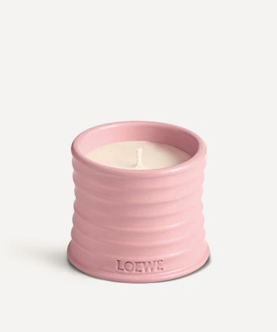 Shop Loewe Small Ivy Candle 170g In Pink