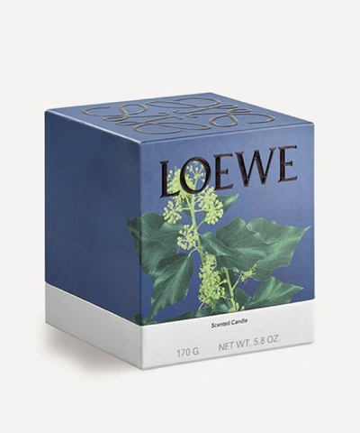 Shop Loewe Small Ivy Candle 170g In Pink