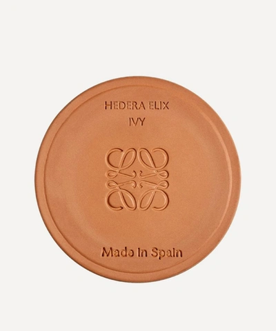 Loewe Small Ivy Candle 170g In Pink