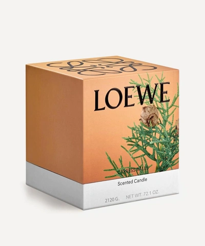 Shop Loewe Large Cypress Balls Candle 2120g In Blue