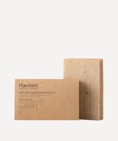 Shop Haeckels Large Exfoliating Vegan Seaweed Block 300g