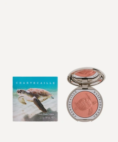 Chantecaille Philanthropy Cheek Colour In Turtle (grace) In Grace