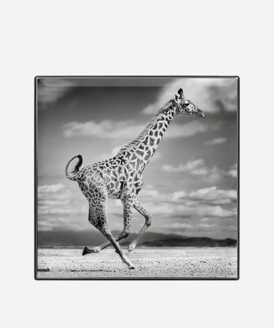 Chantecaille Luminescent Eye Shade 2.5g (various Shades) - Giraffe In Giraffe