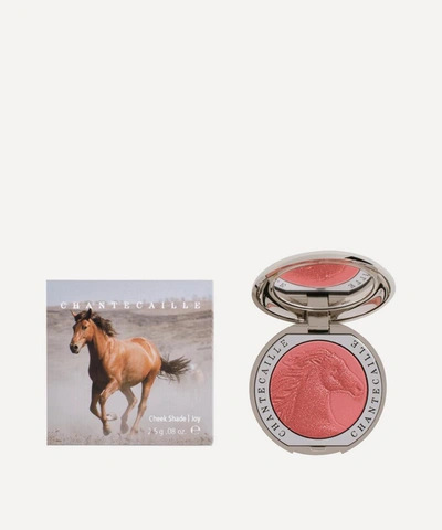 Shop Chantecaille Philanthropy Cheek Colour In Horse (joy)