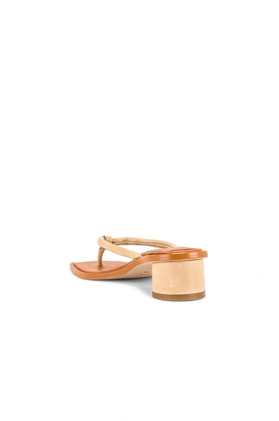 Shop Alohas Beijo Sandal In Beige