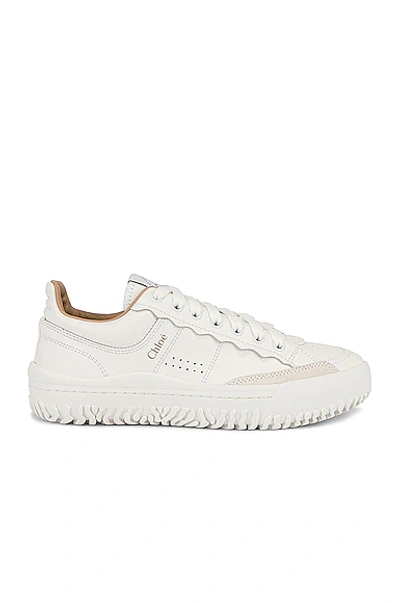 Shop Chloé Franckie Sneakers In White