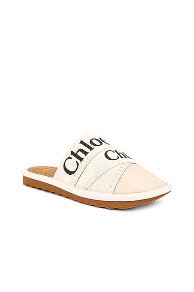 Shop Chloé Woody Mule Slipper In White