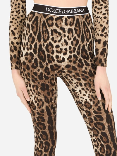 Shop Dolce & Gabbana Leggins In Leopard Print Charmeuse In Black