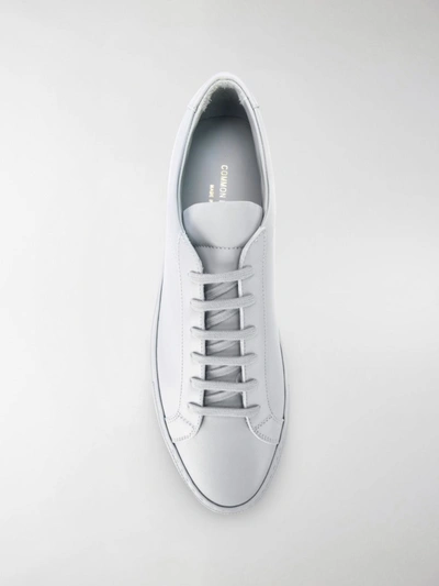 Shop Common Projects Sneakers Grey