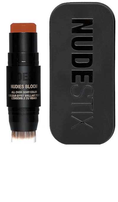 Shop Nudestix Nudies Bloom All Over Face Dewy Color In Rusty Rouge