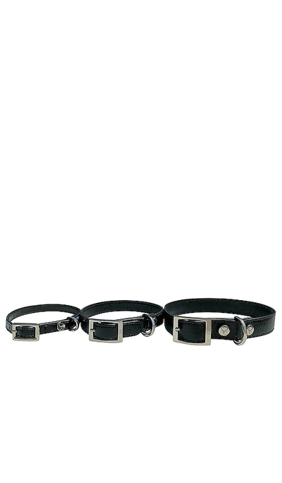Shop Shaya Pets The Taylor Large Collar In 黑色