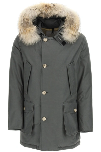 Shop Woolrich Artic Df Parka With Coyote Fur In Grey