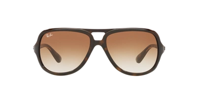 Shop Ray Ban Ray In Brown