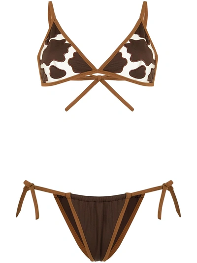 Shop Sian Swimwear Skye Cow-pattern Bikini In Brown