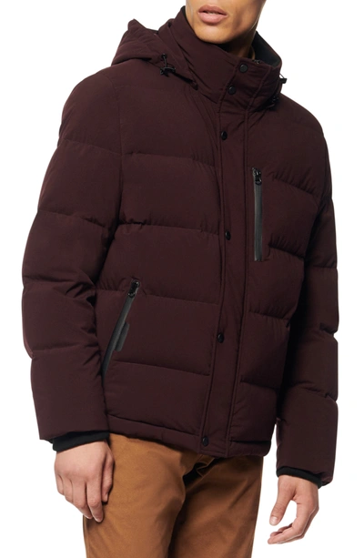 Shop Andrew Marc Tambos Quilted Down Coat In Wine