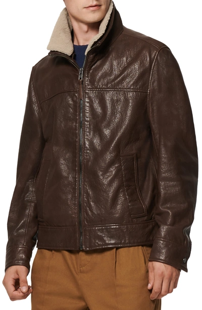Shop Andrew Marc Augustine Leather Jacket With Genuine Shearling Collar In Espresso