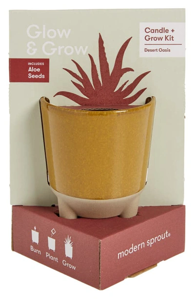 Shop Modern Sprout Glow & Grow Desert Oasis Garden Candle & Grow Kit In Amber