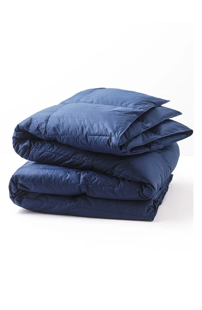 Shop Allied Home All Season Down Comforter In Navy