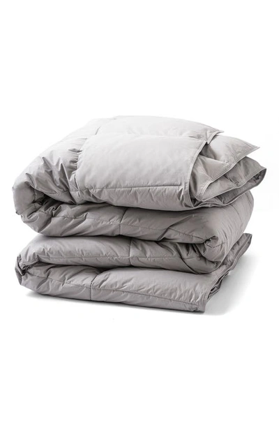 Shop Allied Home All Season Down Comforter In Grey