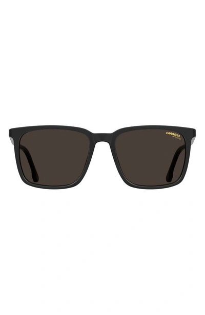 Shop Carrera Eyewear 55mm Polarized Rectangle Sunglasses In Black/ Brown