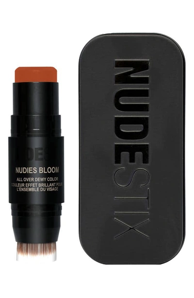 Shop Nudestix Nudies Bloom Multipurpose Color Balm In Rusty Rouge