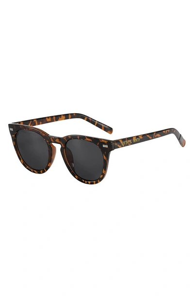 Shop Fifth & Ninth Raleigh 55mm Round Sunglasses In Torte/ Black