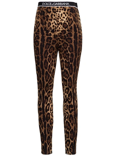 Shop Dolce & Gabbana Animal Print Logo Waistband Leggings In Multi