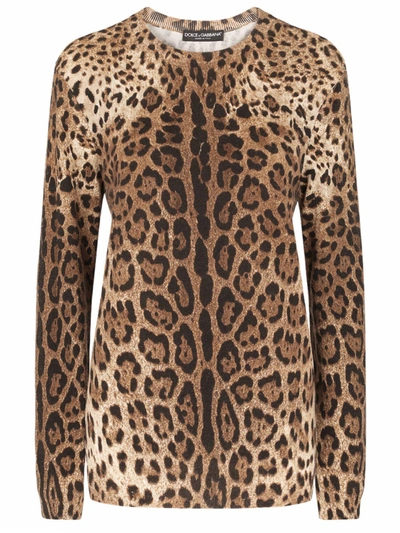 Shop Dolce & Gabbana Leopard-print Cashmere Sweater In Multicolore