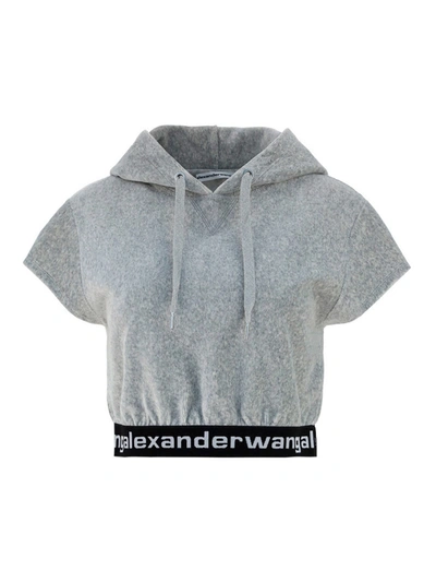 Shop Alexander Wang Sleeveless Hoodie In Light Grey