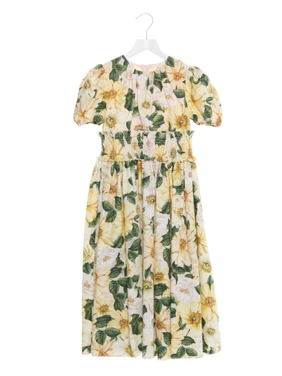 Shop Dolce & Gabbana Kids Camellia Print Dress In Multi