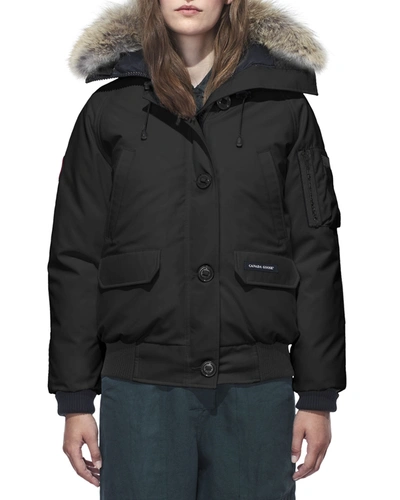 Shop Canada Goose Chilliwack Down Bomber Jacket W/ Fur Hood In Military Green