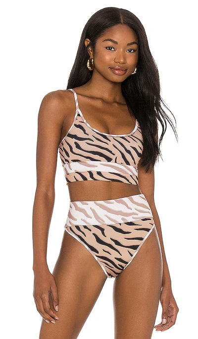 Shop Beach Riot Eva Bikini Top In Chapman Zebra