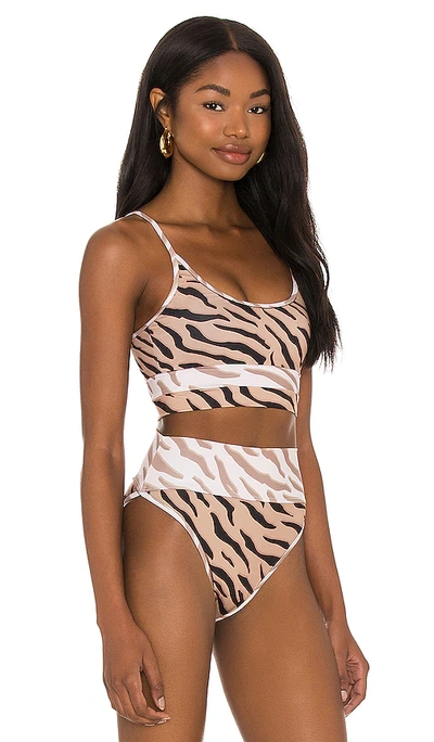 Shop Beach Riot Eva Bikini Top In Chapman Zebra