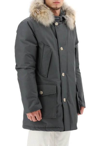 Shop Woolrich Artic Df Parka With Coyote Fur In Grey