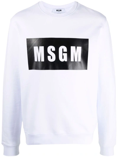 Shop Msgm Logo-print Cotton Sweatshirt In White