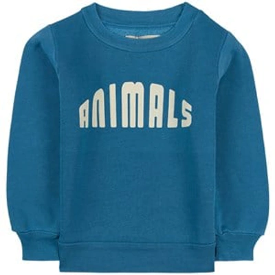 Shop The Animals Observatory Blue Animals Bear Sweatshirt