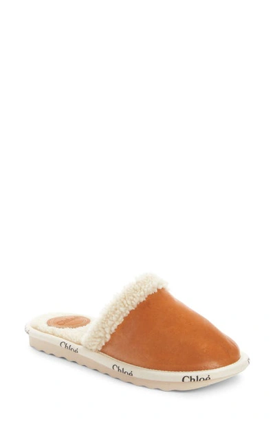 Shop Chloé Woody Genuine Shearling Lined Mule In Beige