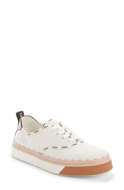 Shop Chloé Lauren Low Top Sneaker In White/ Beige