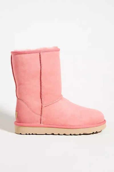 Shop Ugg Classic Short Ii Boots In Pink