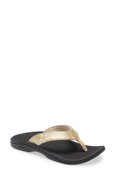 Shop Olukai Ohana Flip Flop In Bubbly/ Paradise