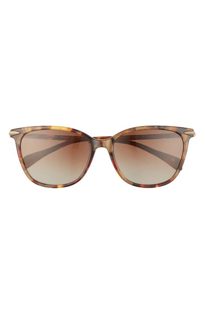 Shop Rag & Bone 55mm Polarized Cat Eye Sunglasses In Gold Havana/ Brown Gradient