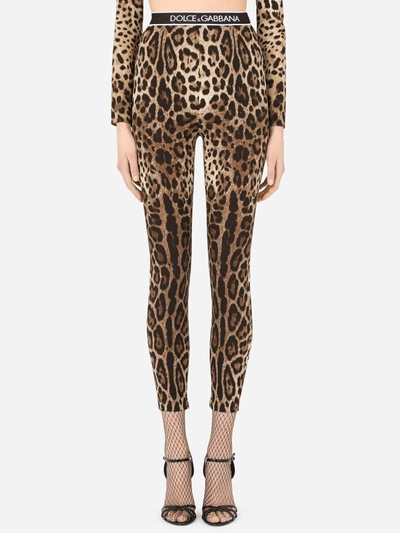 Shop Dolce & Gabbana Leggins In Leopard Print Charmeuse