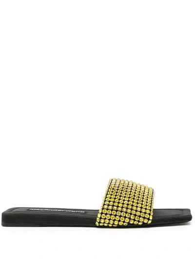 ALEXANDER WANG MASCHA FLAT SANDALS 