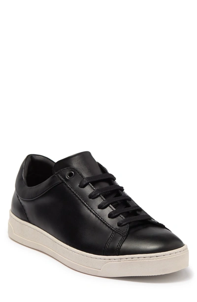 Shop Bruno Magli Diego Leather Sneaker In Black